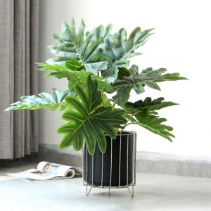 Artificial Plants & Planters