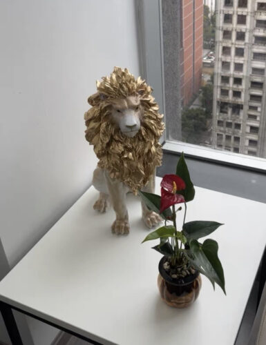 The Roar photo review