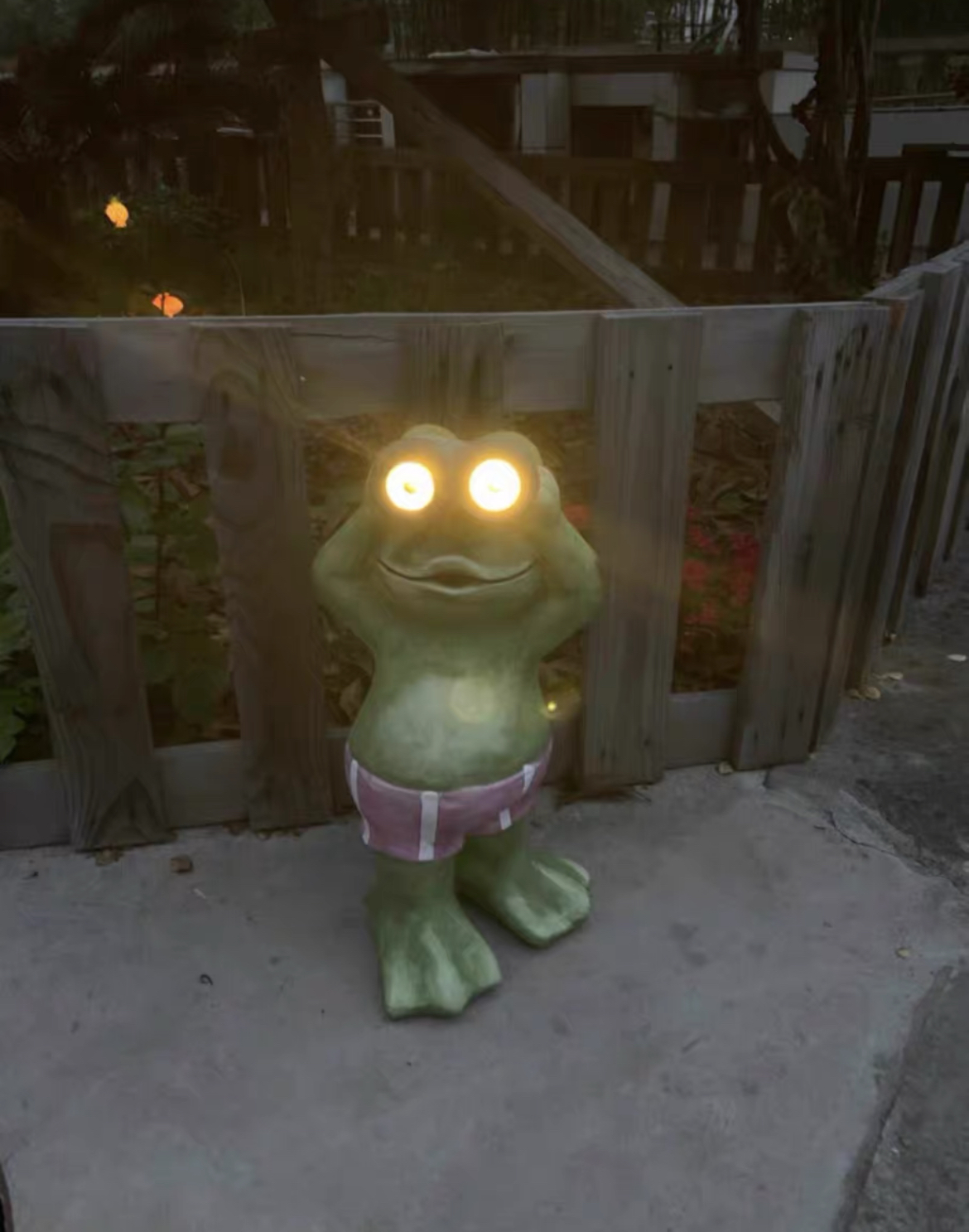 The Frog Solar Lamp photo review