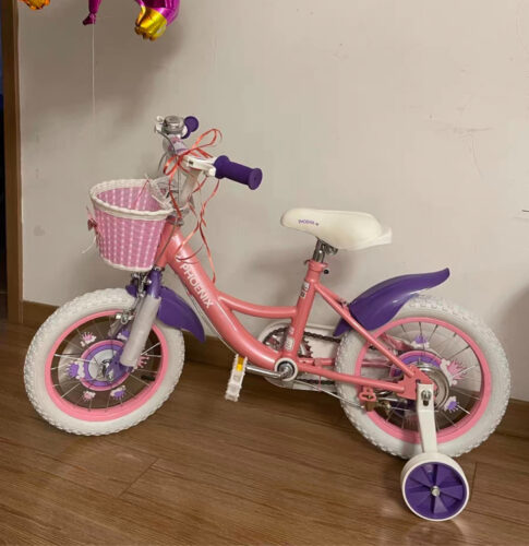 Princess Cycle photo review