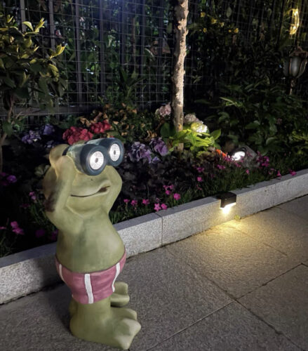 The Frog Solar Lamp photo review