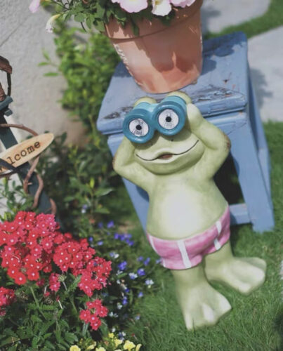 The Frog Solar Lamp photo review
