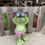 The Frog Solar Lamp photo review