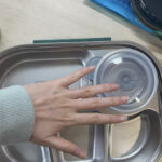 Tiffin Box photo review