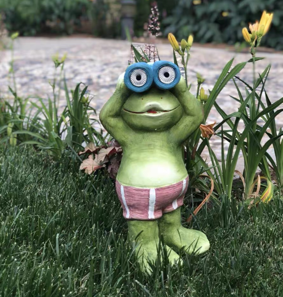 The Frog Solar Lamp photo review