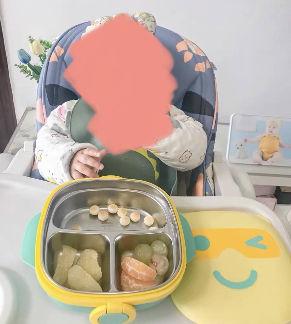 Tiffin Box photo review